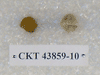 CKT 43859-10