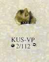 KUS-VP-2-112