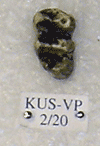 KUS-VP-2-20