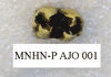 MNHN-P AJO 001