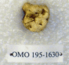 OMO 195-1630