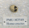PMU M3549