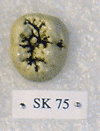SK 75