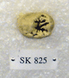 SK 825