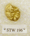 STW 196