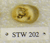 STW 202