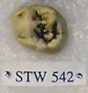 STW 542