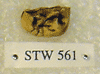 STW 561