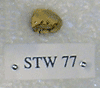 STW 77