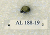 AL 188-19
