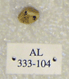 AL 333-104