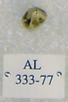AL 333-77