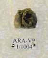 ARA-VP-1-1004