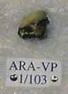 ARA-VP-1-103