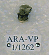 ARA-VP-1-1262