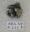 ARA-VP-1-12