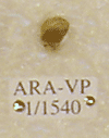 ARA-VP-1-1540