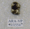 ARA-VP-1-1554