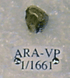 ARA-VP-1-1661