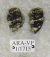 ARA-VP-1-1715