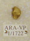 ARA-VP-1-1722