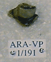 ARA-VP-1-191