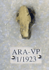 ARA-VP-1-1923