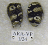 ARA-VP-1-24