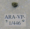 ARA-VP-1-446