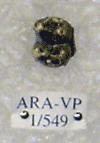 ARA-VP-1-549