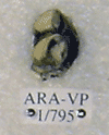 ARA-VP-1-795