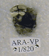ARA-VP-1-820