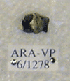 ARA-VP-6-1278