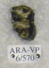 ARA-VP-6-570