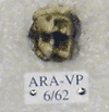 ARA-VP-6-62