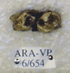 ARA-VP-6-654