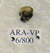 ARA-VP-6-800