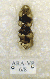 ARA-VP-6-8