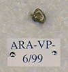 ARA-VP-6-99