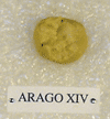 ARAGO XIV