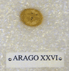 ARAGO XXVI