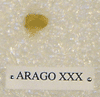 ARAGO XXX