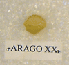 ARAGO XX