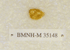 BMNH-M 35148