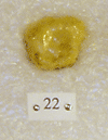 BP 22