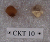 CKT 10