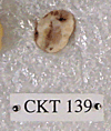 CKT 139