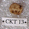 CKT 13