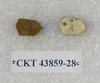 CKT 43859-28