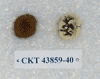 CKT 43859-40